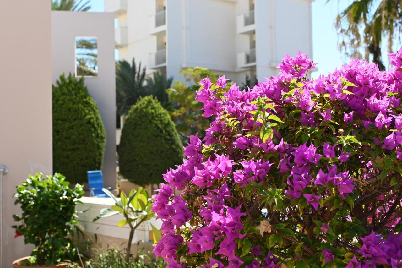 Отдыхайте С Удовольствием Paphos Eksteriør bilde